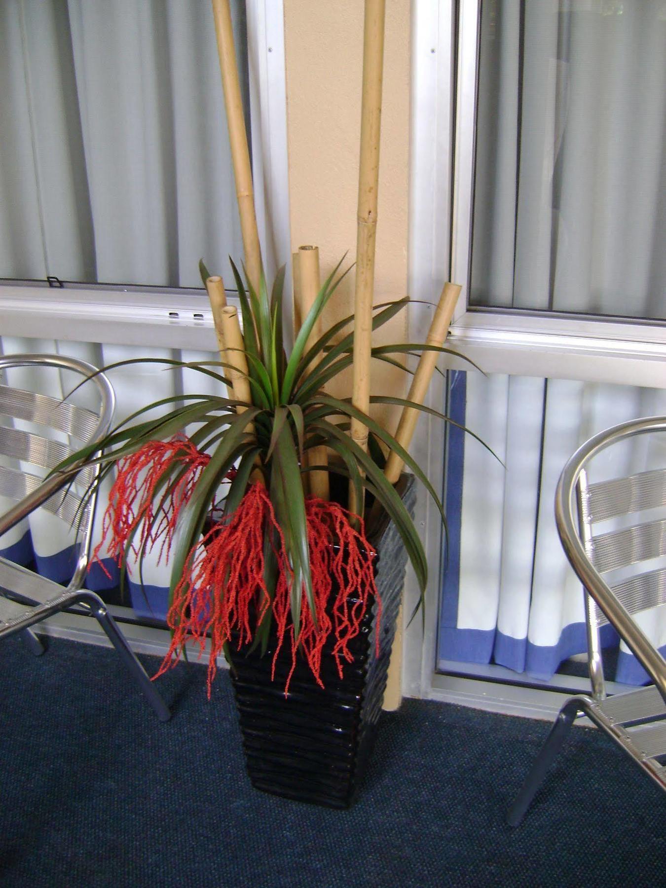 Rockhampton Court Motor Inn Buitenkant foto